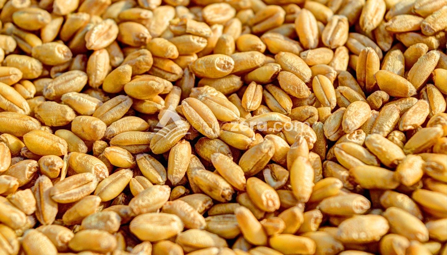 Agro Zera
