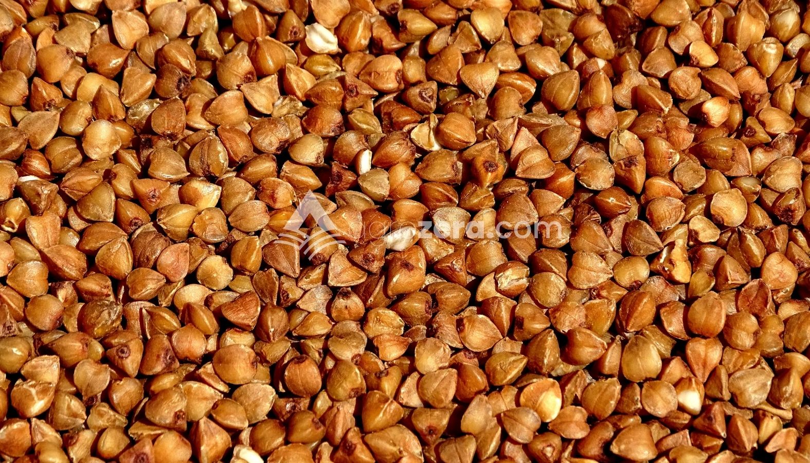 Agro Zera