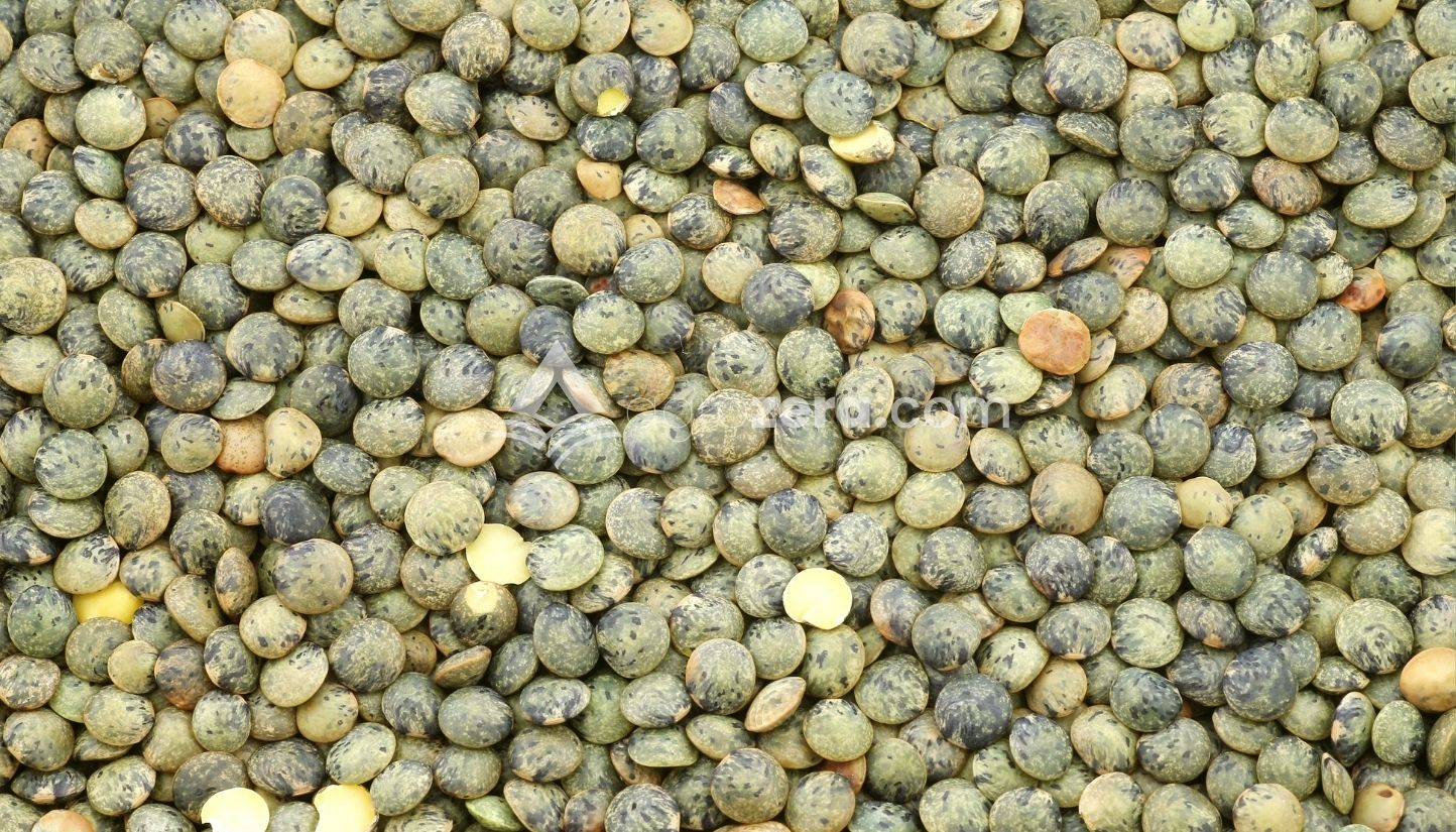 Agro Zera