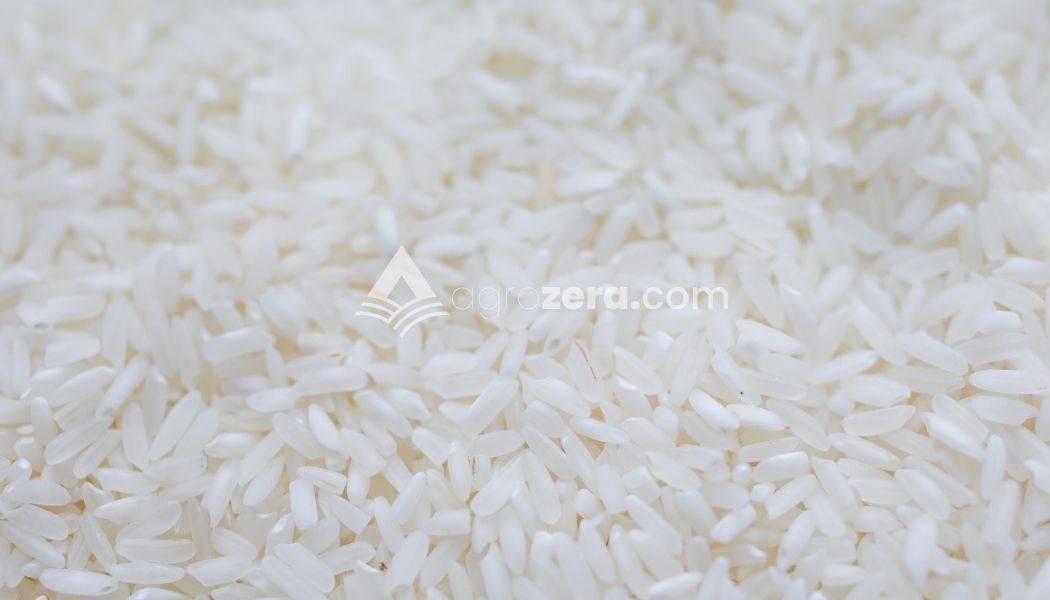 Agro Zera